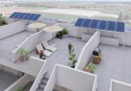 Obra nueva - Bungalow -
Torre Pacheco - Roldán