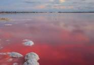 Rynek Pierwotny - Bungalow -
Torrevieja - Lago Jardín II