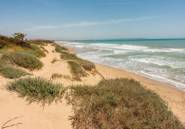 New Build - Apartment -
Guardamar del Segura