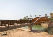 New Build - Villa -
Pilar de la Horadada - Riomar